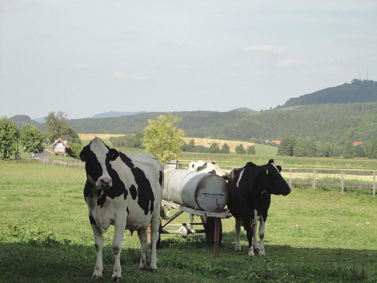 Monteurwohnungen Goeb - Nicht Fuer Urlaubsgaeste Geisa Extérieur photo